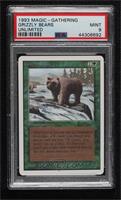 Grizzly Bears [PSA 9 MINT]