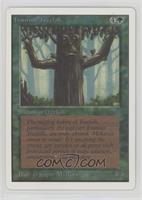 Ironroot Treefolk