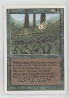 Kudzu [EX to NM]