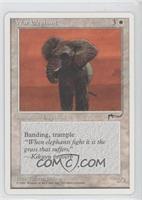 War Elephant (Arabian Nights Reprints)