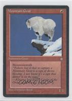 Mountain Goat [Noted]