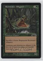 Rootwater Alligator