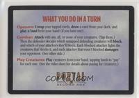 Tip Card/What You Do In A Turn