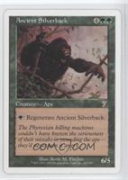 Ancient Silverback