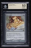 Mox Lotus [BGS 9.5 GEM MINT]