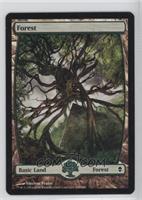 Forest - Full Art