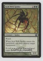 Acid Web Spider