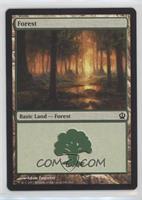 Forest [EX to NM]