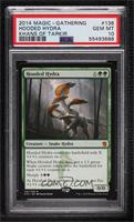 Hooded Hydra [PSA 10 GEM MT]