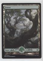 Forest (Full Art)