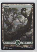 Forest (Full Art)