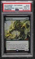 Vengevine [PSA 10 GEM MT]