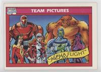 Team Pictures - Alpha Flight