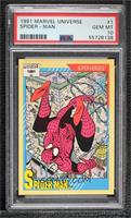 Super Heroes - Spider-Man (1991 BOLD) [PSA 10 GEM MT]