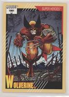 Super Heroes - Wolverine (1991 BOLD)