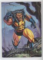 Wolverine [EX to NM]