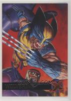 Wolverine