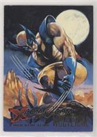 X-Men Blue Team - Wolverine