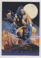 X-Men Blue Team - Wolverine