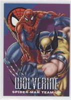 Wolverine Spider-Man