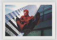 Parker Pix - Spider-Man