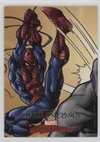 Spider-Man [EX to NM]