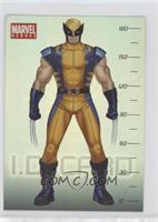I.D. Card - Wolverine