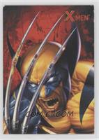 Wolverine [EX to NM]