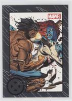 Wolverine vs. Mystique