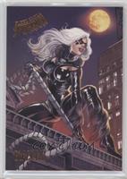 Black Cat