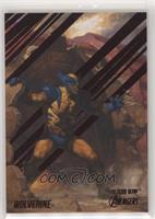 Wolverine #/141