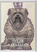 Lockjaw #/100