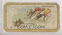 Greyhounds [COMC RCR Poor]