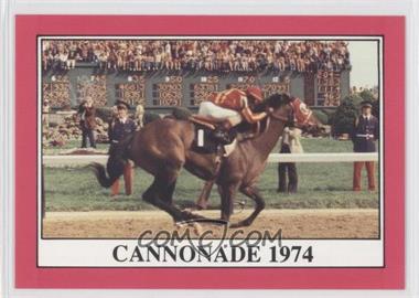 1991 Horse Star Kentucky Derby - [Base] #100 - Cannonade