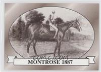 Montrose