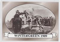 Wintergreen