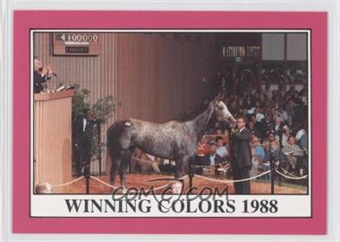 1991 Horse Star Kentucky Derby - Retirement Update #R114 - Winning Colors