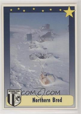 1992 MotorArt Iditarod - [Base] #93 - Northern Bred Dogs