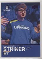 Striker