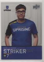 STRIKER