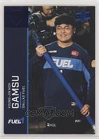 Gamsu