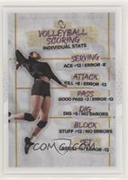 Volleyball Scoring System - Individual Stats #/3,048