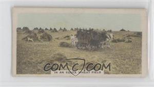 1924 Cavanders The Homeland Series - Tobacco [Base] - Hand-Coloured Small #13 - In an essex wheat field