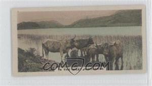 1924 Cavanders The Homeland Series - Tobacco [Base] - Hand-Coloured Small #39 - In the West Highlands
