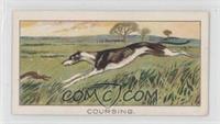 Coursing