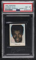 Cassius Clay [PSA 8 NM‑MT]