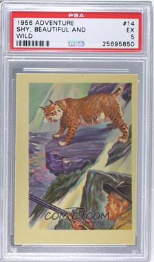 1956 Gum Inc. Adventure - [Base] #14 - Shy, Beautiful and Wild... [PSA 5 EX]