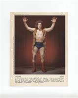 Jean Ferre (Andre the Giant)