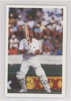 Ian Botham (In stance)