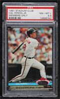 Cal Ripken Jr. [PSA 8.5 NM‑MT+]